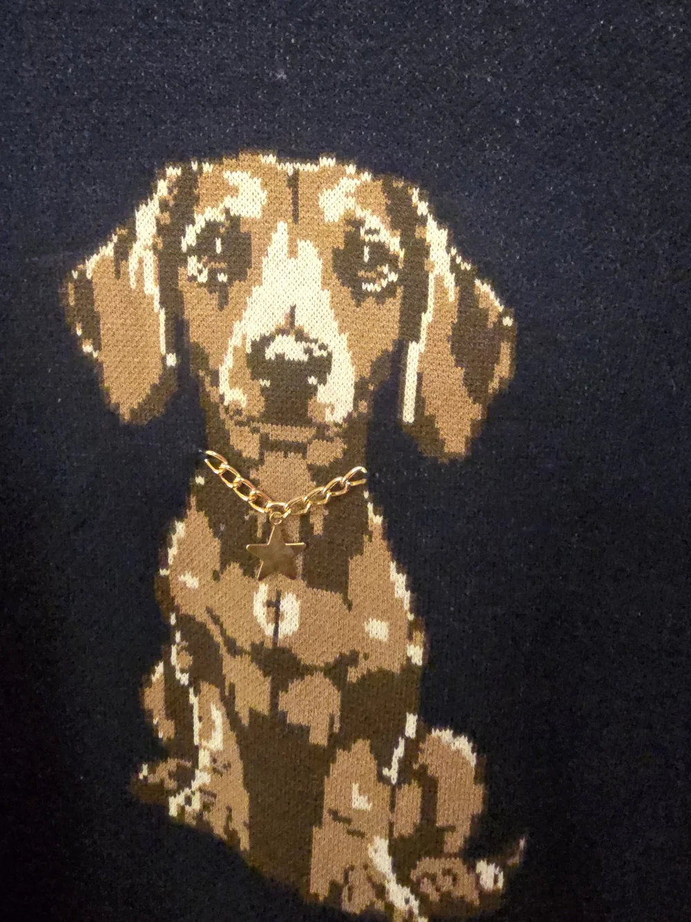 Nikka K Navy Knit Sweater with Dachshund Motif